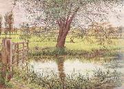 William Bell Scott Landscape with a Gate and Watermeadow (mk46) oil painting